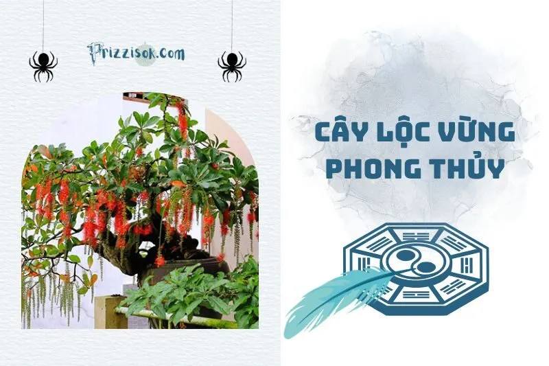 Bật mí cách trồng cây lộc vừng phong thủy hút tài lộc 2025