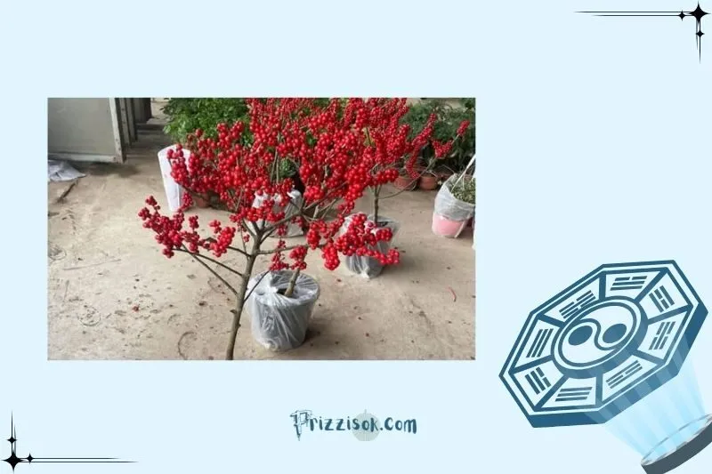 Cách đặt cây đào đông hợp phong thủy để thu hút tài lộc