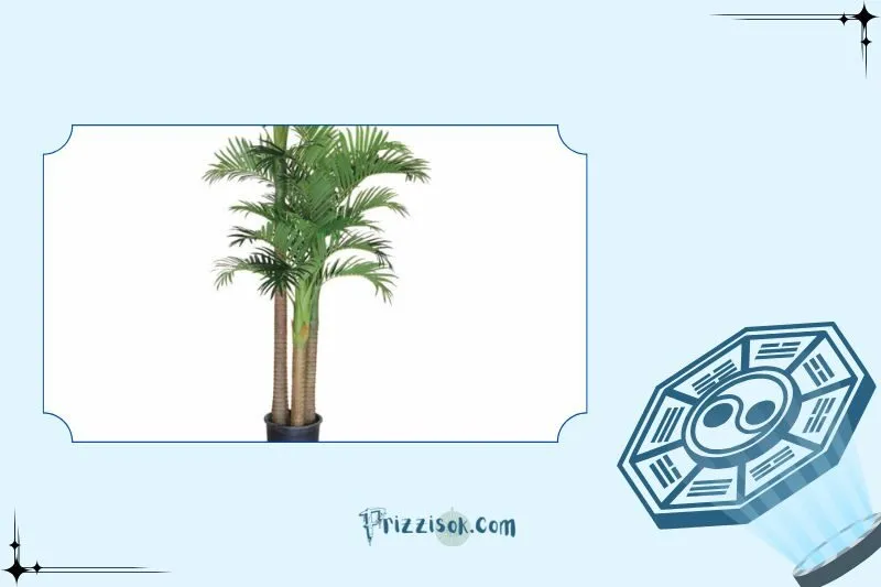 Cách đặt cây dừa cảnh phong thủy mang lại may mắn