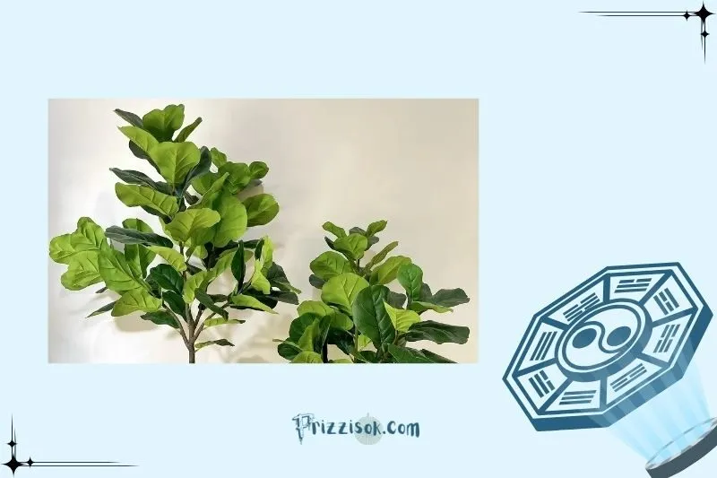 Cách đặt cây hợp phong thủy trong nhà