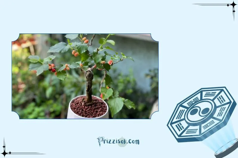Cách hóa giải nếu mệnh không hợp cây dâu tằm