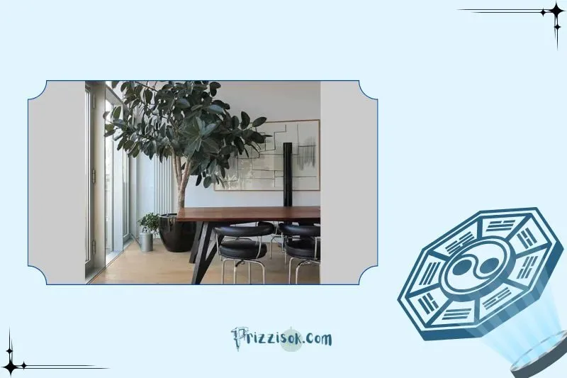 Cách trồng cây đa búp đỏ chuẩn phong thủy