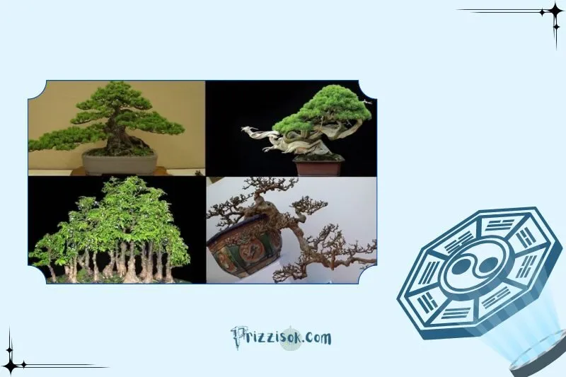 Cây bonsai phong thủy có mang lại tài lộc và may mắn không?