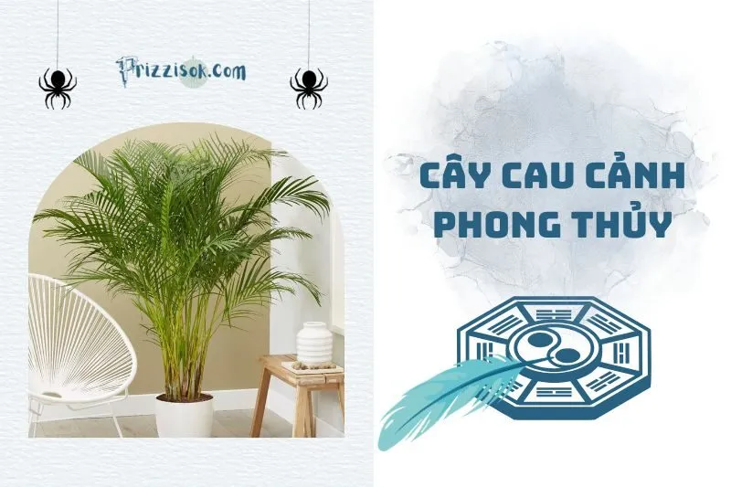 Cây Cau Cảnh Phong Thủy: Tài Lộc Và May Mắn 2025