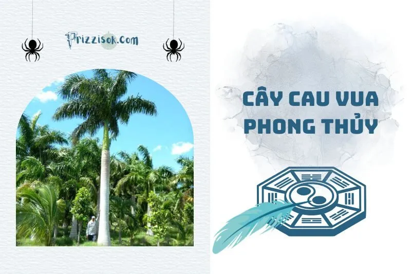 Cây cau vua phong thủy 2025: Ý nghĩa, cách trồng và hợp mệnh