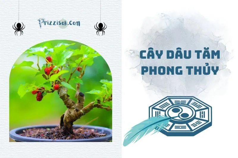 Cây dâu tằm phong thủy 2025: Ý nghĩa, hợp mệnh nào và cách trồng