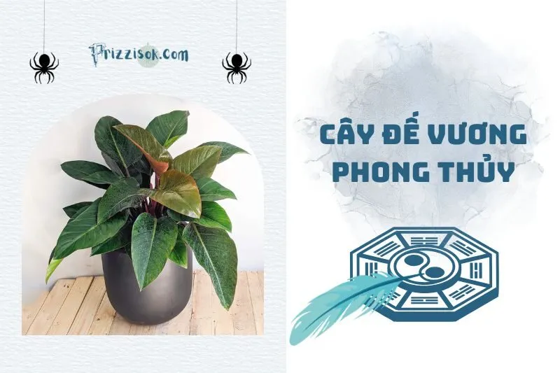 Cây đế vương phong thuỷ 2025: Ý nghĩa, cách trồng và chăm sóc