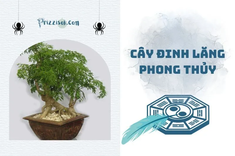 Cây đinh lăng phong thủy 2025: Ý nghĩa, tác dụng và cách chăm sóc