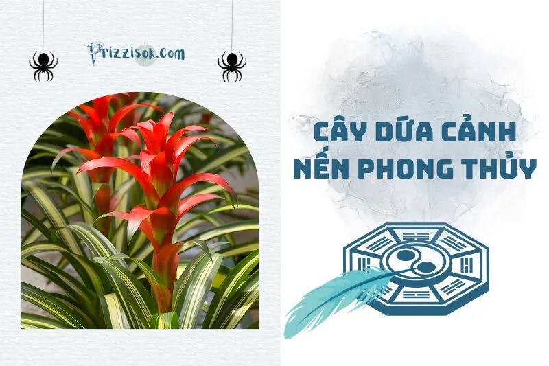 Cây dứa cảnh nến phong thủy 2025: Ý nghĩa, cách trồng và chăm sóc