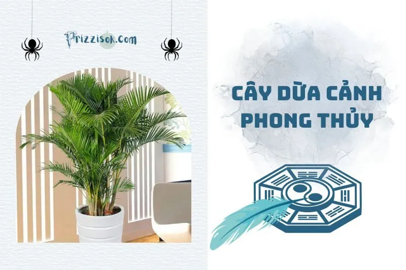 Cây dừa cảnh phong thủy 2025: Ý nghĩa, cách trồng và chăm sóc