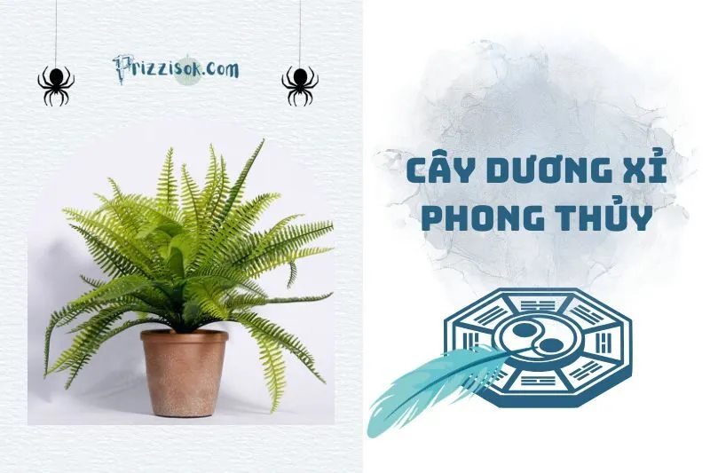 Cây dương xỉ phong thuỷ 2025: Ý nghĩa, hợp mệnh và cách chăm sóc