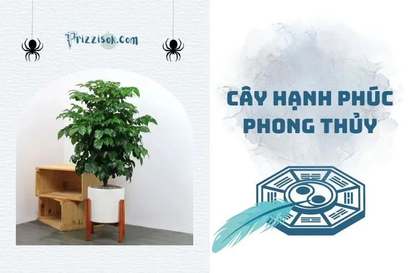 Cây hạnh phúc phong thuỷ 2025: Ý nghĩa, cách trồng và chăm sóc