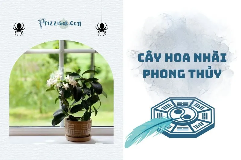 Cây hoa nhài phong thủy 2025: Ý nghĩa, cách trồng và chăm sóc
