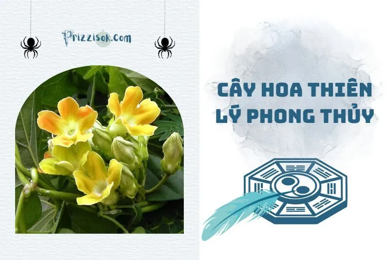 Cây hoa thiên lý phong thủy 2025: Ý nghĩa, hợp mệnh và cách trồng