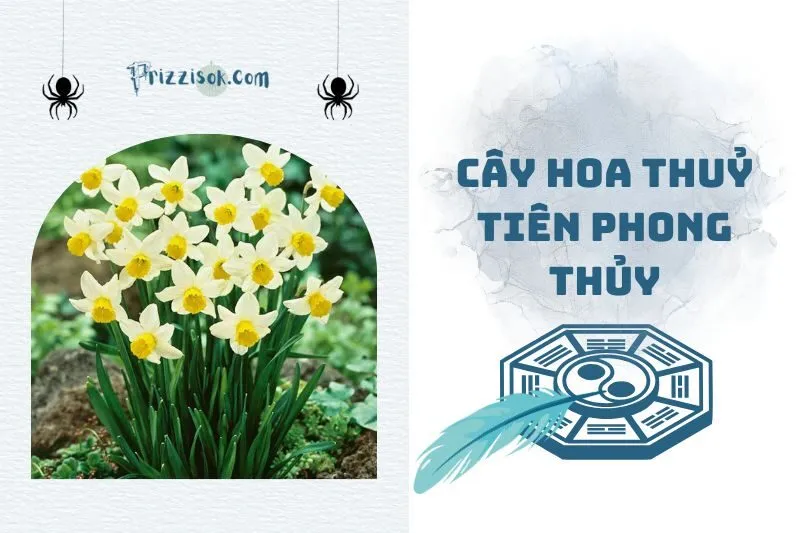 Cây hoa thủy tiên phong thủy 2025: Ý nghĩa, cách trồng và chăm sóc