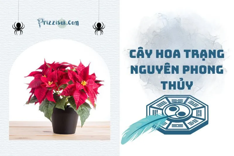 Cây hoa trạng nguyên phong thủy 2025: Đặt ở đâu để hút tài lộc?