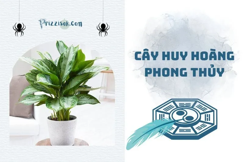 Cây huy hoàng phong thủy: Bí quyết thu hút tài lộc vào nhà 2025