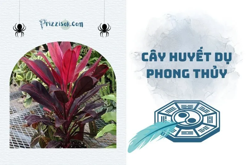 Cây Huyết Dụ phong thuỷ 2025: Ý nghĩa, hợp mệnh nào, đặt ở đâu?