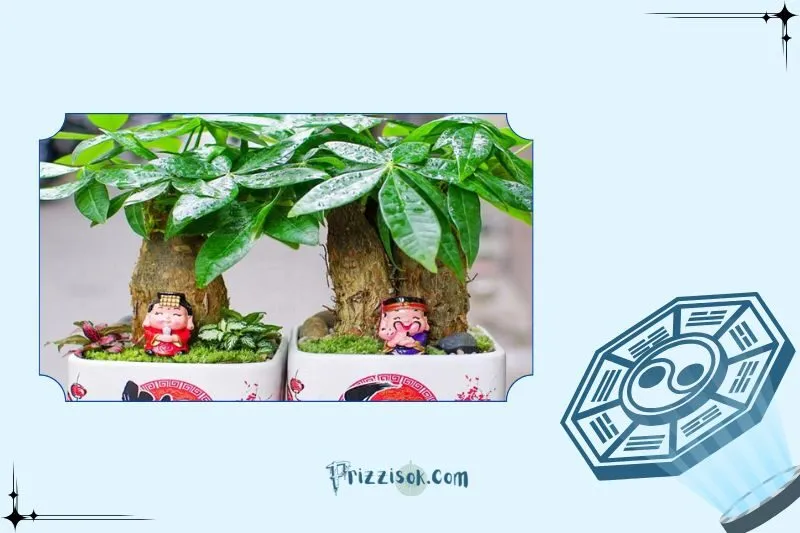 Cây kim ngân hợp với mệnh gì, tuổi gì?