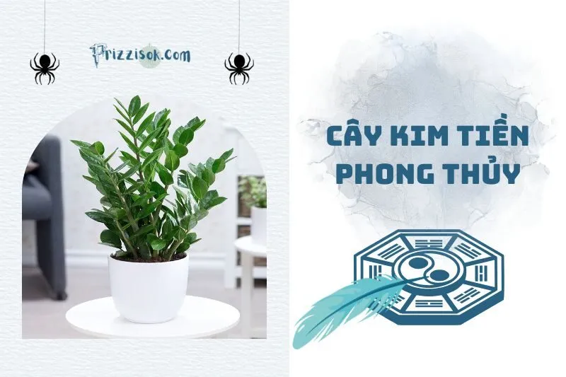 Cây Kim Tiền Phong Thủy: Bí Quyết Hút Tài Lộc 2025