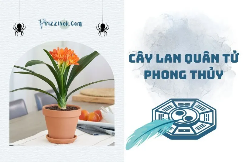 Cây Lan Quân Tử Phong Thủy: Cách Đặt Để Hút Tài Lộc 2025