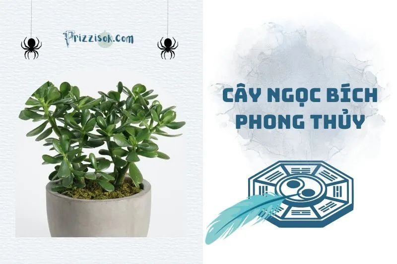 Cây ngọc bích phong thủy: Cách trồng và đặt cây đúng chuẩn 2025