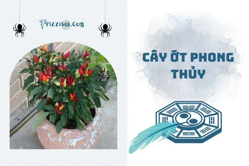Cây ớt phong thủy 2025: Ý nghĩa, cách trồng và vị trí đặt hút tài lộc