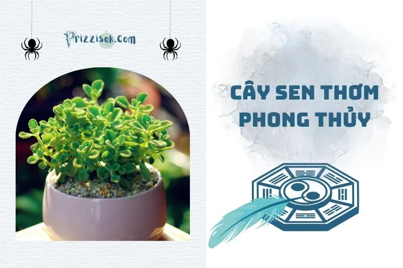 Cây sen thơm phong thủy 2025: Ý nghĩa, cách trồng và chăm sóc