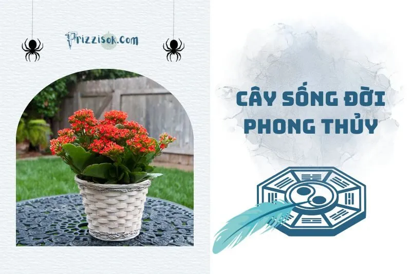 Cây Sống Đời Phong Thủy 2025: Ý Nghĩa, Cách Trồng và Bài Trí