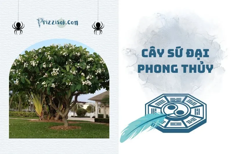 Cây Sứ Đại Phong Thủy 2025: Ý Nghĩa, Cách Trồng Và Chăm Sóc
