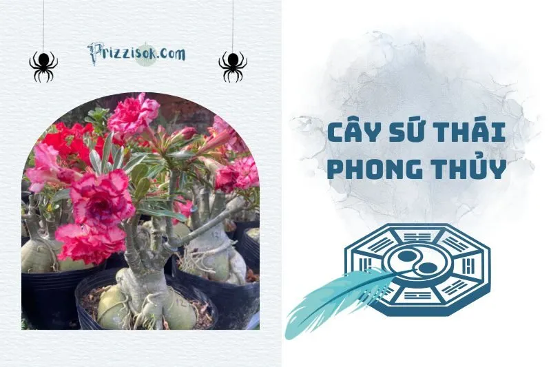 Cây sứ Thái phong thủy 2025: Ý nghĩa, hợp mệnh gì và cách trồng