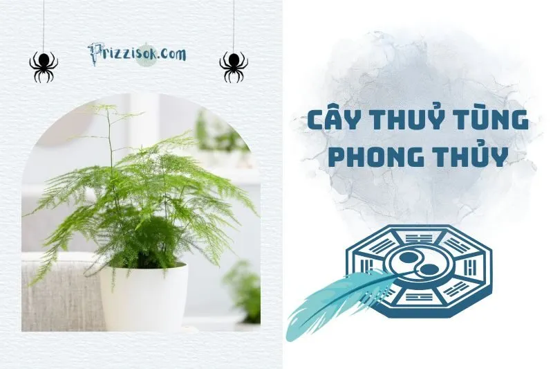 Cây thủy tùng phong thủy 2025: Ý nghĩa, cách trồng và bài trí
