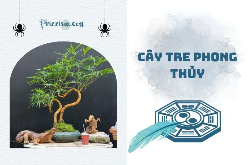Cây tre phong thủy 2025: Ý nghĩa, cách chọn và đặt để hút tài lộc