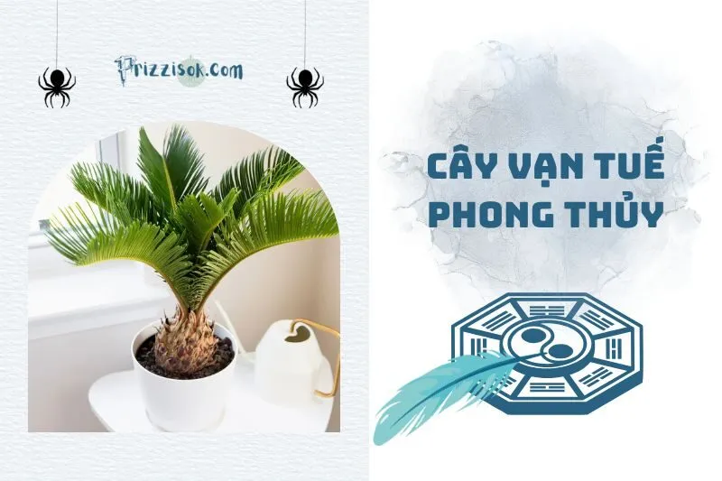 Cây vạn tuế phong thủy: Ý nghĩa, cách trồng và chăm sóc 2025