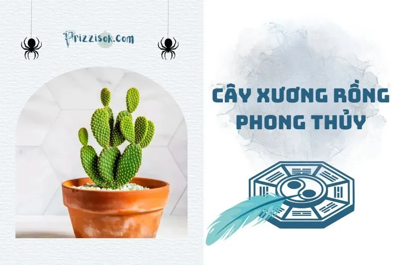 Cây xương rồng phong thủy 2025: Ý nghĩa, cách đặt và chăm sóc