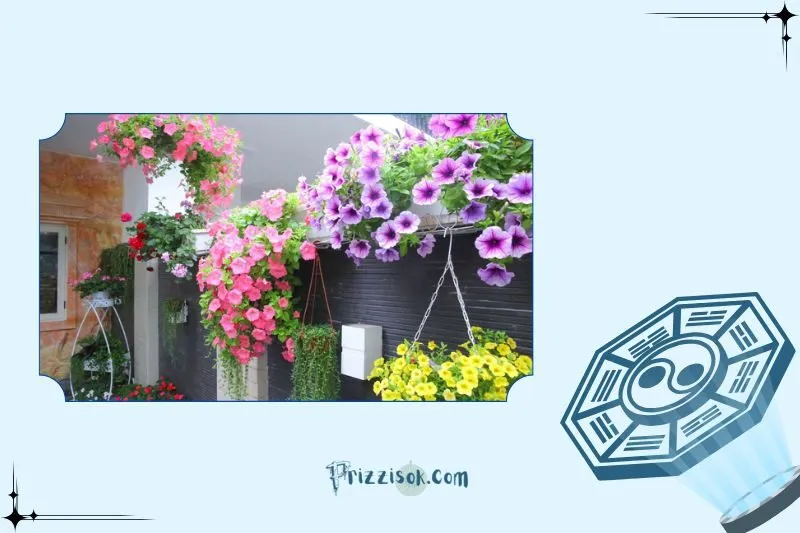 Công dụng của cây hoa dạ yến thảo