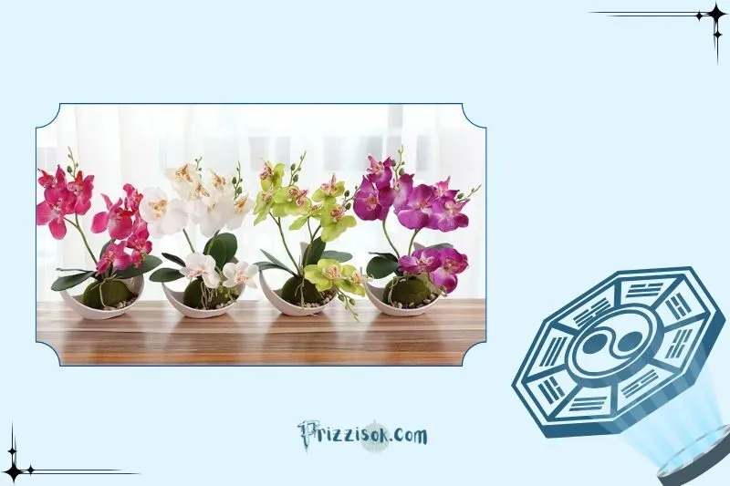 Hướng dẫn trồng và chăm sóc cây lan hồ điệp phong thủy đúng cách