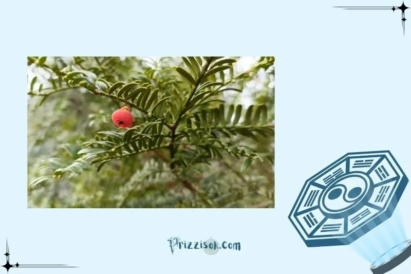 Một số lưu ý khi trồng cây