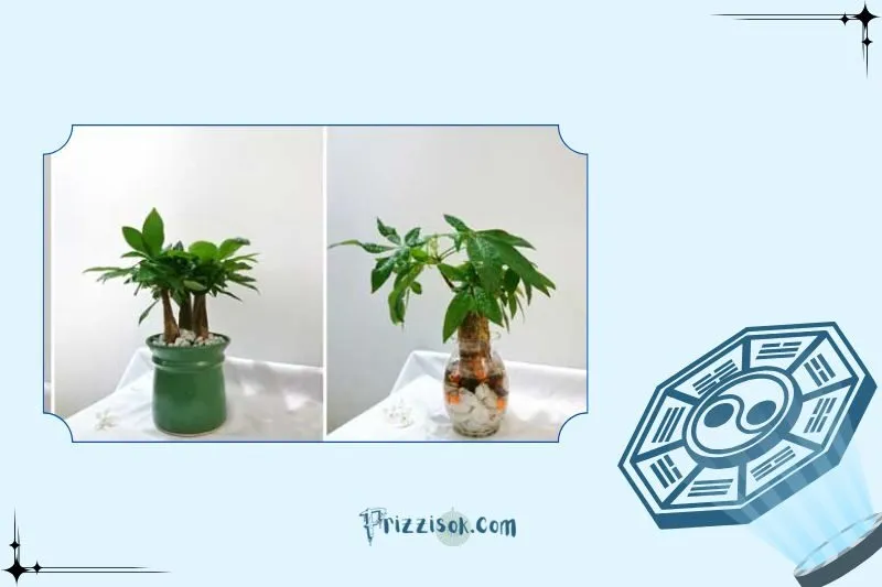 Một số lưu ý quan trọng