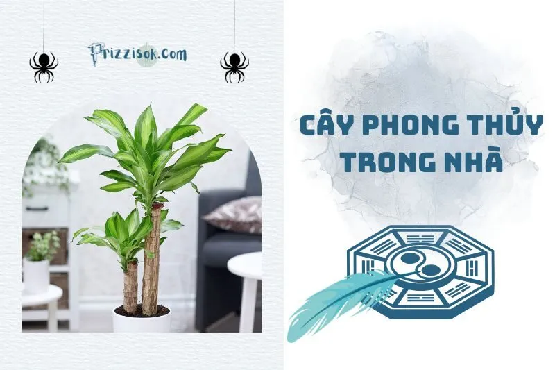 Top cây phong thủy trong nhà giúp thu hút tài lộc và may mắn 2025