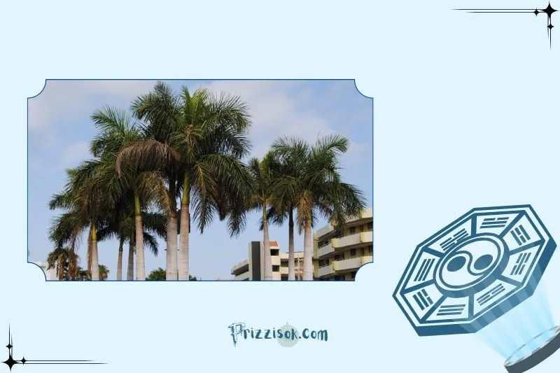 Vị trí đặt cây cau vua theo phong thủy